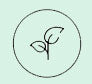 <h4><strong>Plant Derived</strong></h4>